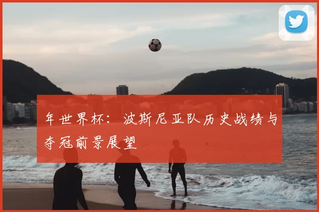 年世界杯:波斯尼亚队历史战绩与夺冠前景展望